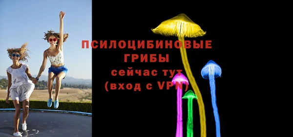 молекула духа Протвино