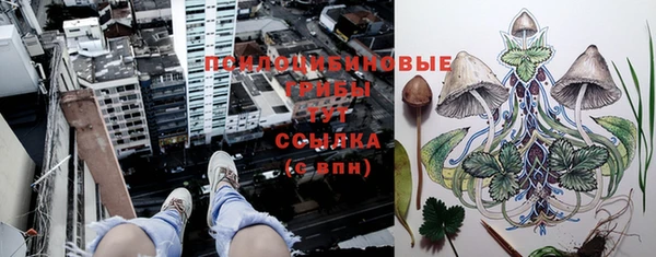 кокаин перу Покачи