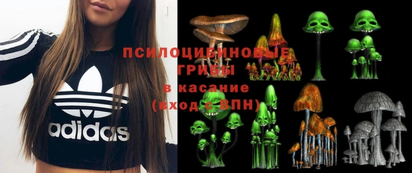 соль ск Покровск