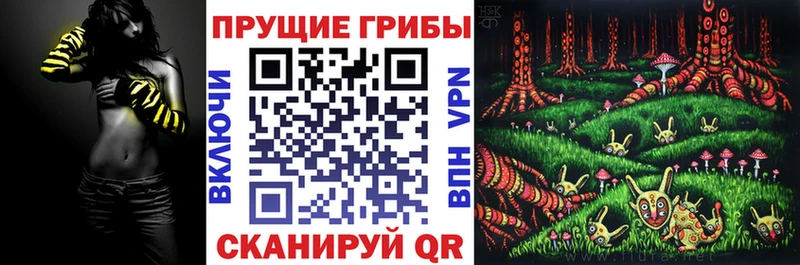 Галлюциногенные грибы GOLDEN TEACHER  Купить  Кондрово 